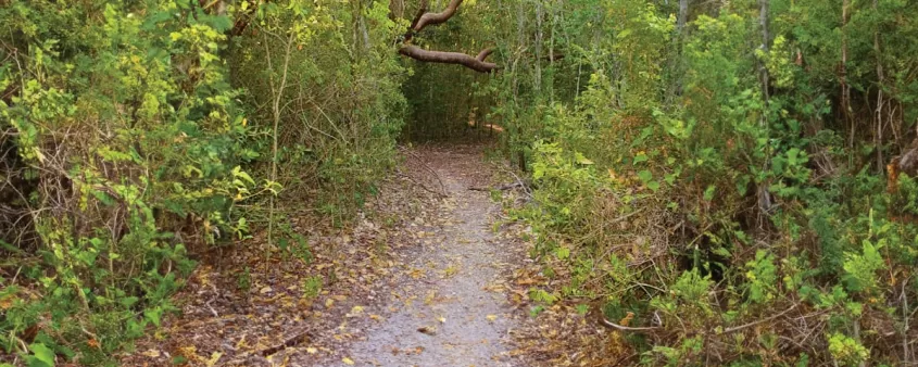 Mound Key Archaeological State Park