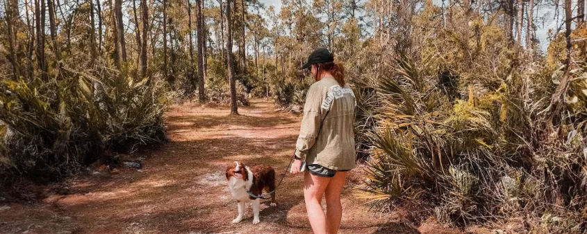 Woman Dog Walk Hike Nature Buckingham Trails Preserve